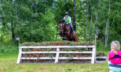 В Орловской области прошло региональное первенство по конному спорту