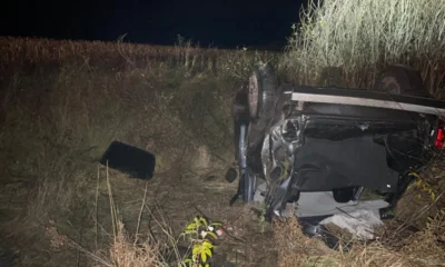 Под Орлом «Нива» сбила кабана, вылетела в кювет и перевернулась