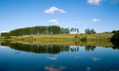 В Малоархангельске облагородят городской пруд