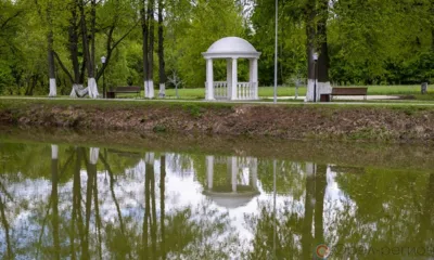 Орловцы голосуют за комфортную среду