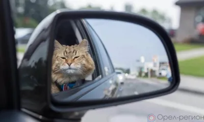 В Орле завтра из-за проведения эстафеты перекроют дороги и изменят маршруты троллейбусов