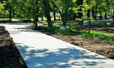 В сквере Гуртьева в Орле создали дорожно-тропиночную сеть