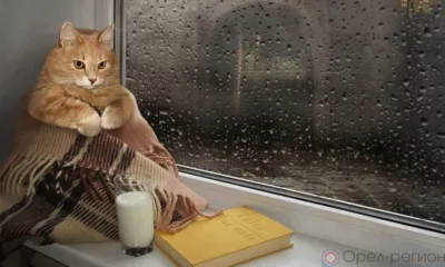 В Орле временно отключат горячую воду и электричество