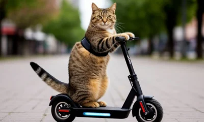 В Детском парке Орла на выходных запретят стоянку и движение электросамокатов