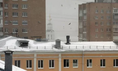 Орловщину накрыла метель