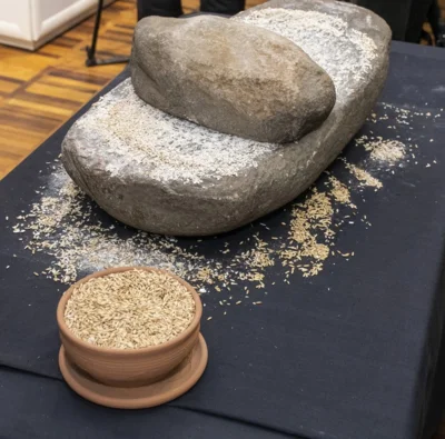 Фото 10. В Орловском краеведческом музее представили новые археологические материалы