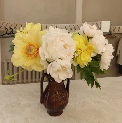 Фото 2. В Орловском музее изобразительных искусств открылась выставка «Природы чудный дар»