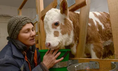 На поддержку фермеров Орловщины на селе направят 66 млн рублей