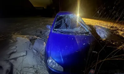 В Болхове молодой водитель госпитализирован после столкновения автомобиля с деревом