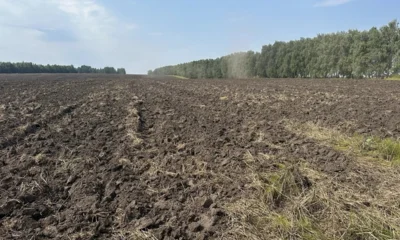 В Орловской области введено в оборот более 7 тысяч га неиспользуемых сельхозземель