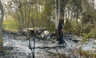 Под Орлом после столкновения с деревом сгорела Audi с людьми внутри