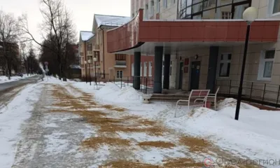 На Орловщине ведётся работа по устранению последствий ледяного дождя