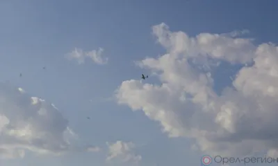 Над Орловской областью сбит очередной беспилотник