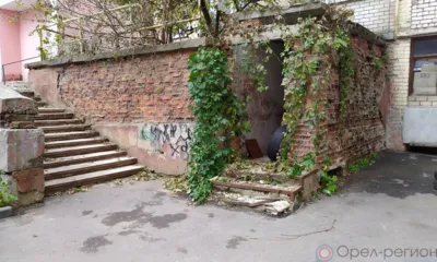 Компас в мире вопросов