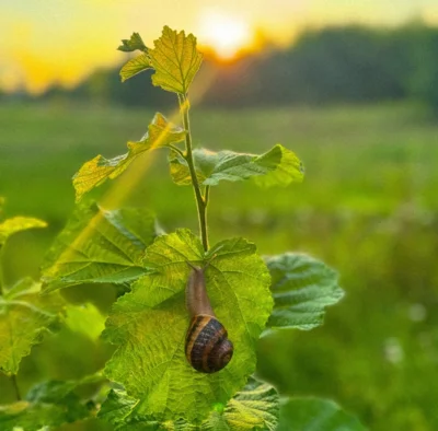Фото 2. Счастье в орловской глубинке