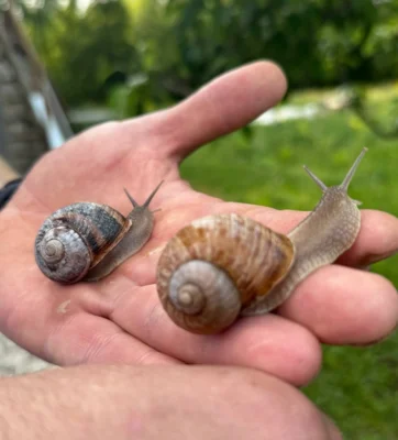 Фото 5. Счастье в орловской глубинке