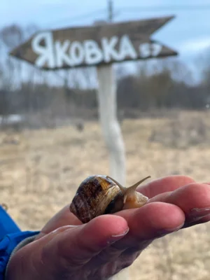 Фото 6. Счастье в орловской глубинке