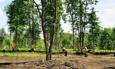 Рубрика «Компас в мире вопросов»