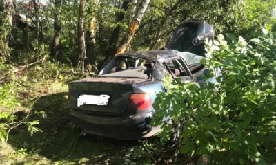 В Урицком районе Audi на полной скорости улетела в кювет