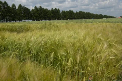 Александр Шалимов: «Инвестиции - необходимый инструмент качественного и эффективного развития любого субъекта»