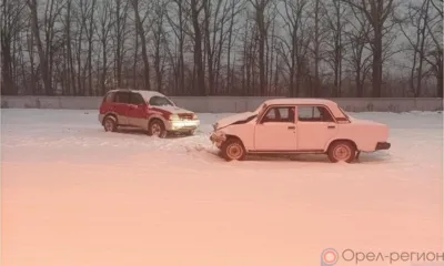 Орловчанка выехала на встречную полосу и спровоцировала ДТП