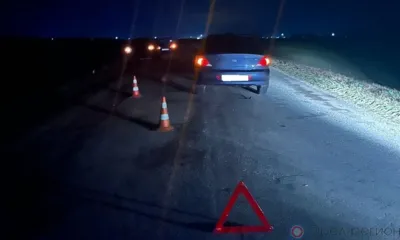 Ночью на орловской трассе погиб пешеход