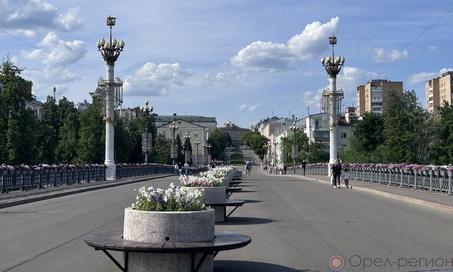 Прошлой осенью и этой весной в Орле было высажено более 340 тысяч цветов