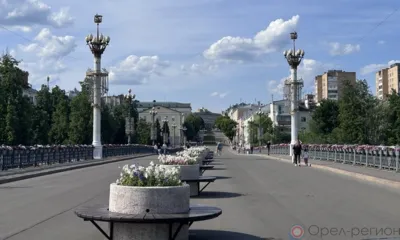 Прошлой осенью и этой весной в Орле было высажено более 340 тысяч цветов