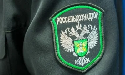 Орловский интернет-магазин нелегально продавал «33 поросёнка» и «Цыганский табор»