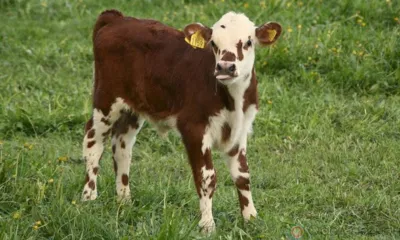 Орловские сельхозпотребкооперативы получили гранты на развитие материально-технической базы