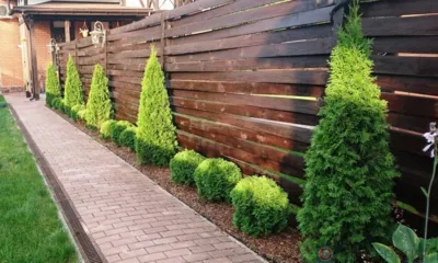 У орловчанки с участка украли туи