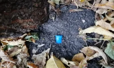 В Ливенском районе полицейские задержали «закладчика»