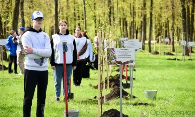 В парке Победы в Орле посадили 44 именные липы в память о погибших участниках СВО