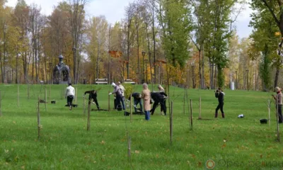 Аллея Славы в парке Победы Орла пополнилась новыми саженцами