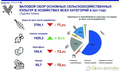 Орловщина в зеркале статистики