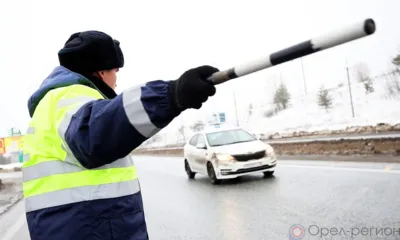 Орловские полицейские задержали угнавшего УАЗ пьяного орловца