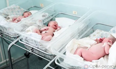В результате ЭКО в Орловской области за полгода родился 41 ребёнок