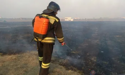 За минувшую неделю в Орловской области произошло 592 пожара, большая часть из которых - палы сухой травы