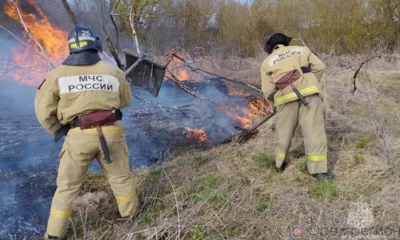 На Орловщине в выходные горела трава на площади 3,5 га