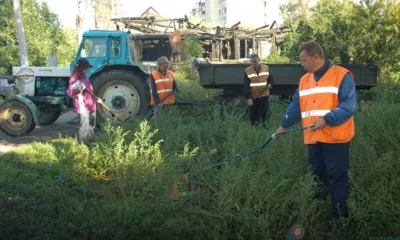 Более сотни орловцев подали заявки на участие в оплачиваемых общественных работах