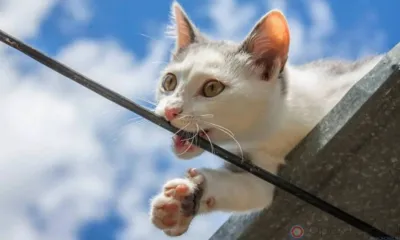 В Орле более 10 улиц остались сегодня без электричества