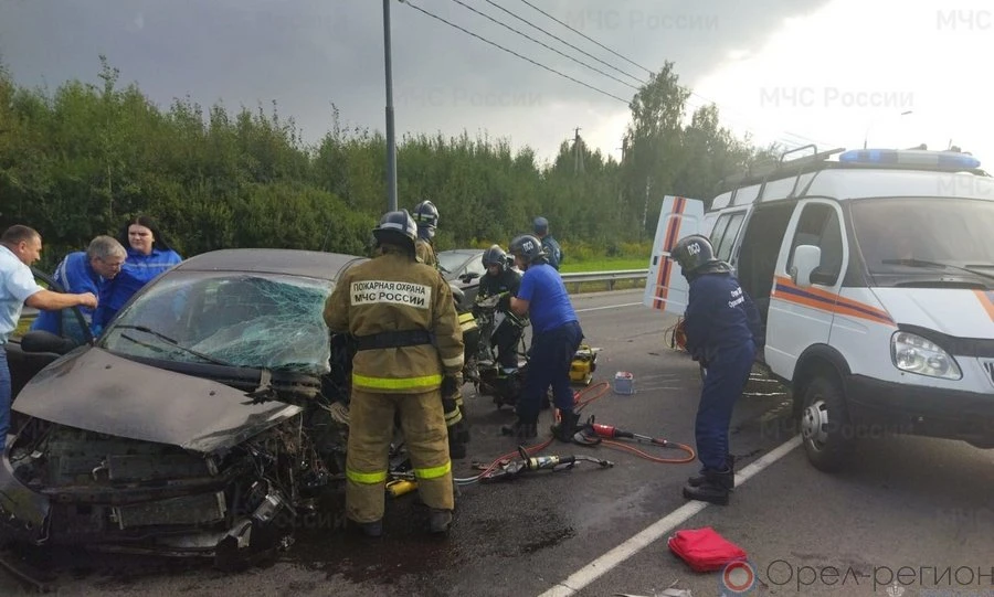 В Орле на ул. Итальянской погиб водитель Citroën