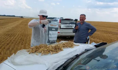 В Орловской области фитосанитарные обследования провели на более чем 313 тысячах га