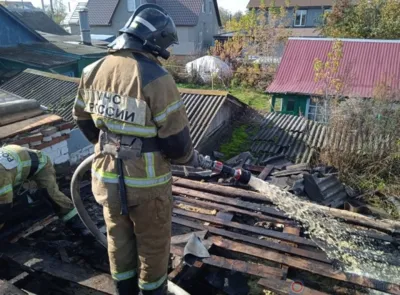 За выходные в пожарах погибли два орловца