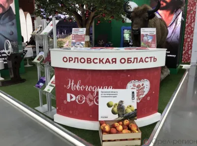 Подведены итоги Дней регионов на выставке-форуме «Россия»