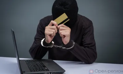 На Орловщине зафиксировано более 1600 фактов дистанционного мошенничества