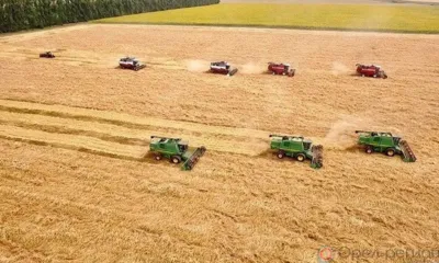 Орловские аграрии намолотили первый миллион тонн зерна