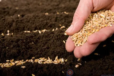 Орловского фермера оштрафовали за неисполнение требований Россельхознадзора