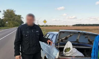 Житель Малоархангельского района перевозил в багажнике автомобиля почти 7 кг наркосодержащего растения
