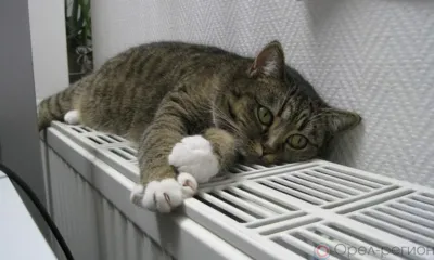 Отопительный сезон в Орловской области будет завершён на следующей неделе